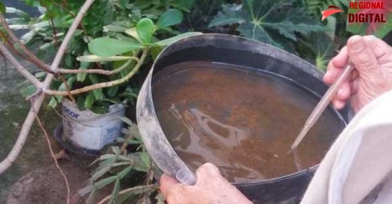 ?ndice de infesta??o da dengue atinge 7% em Itabira e acende alerta de alto risco de surto