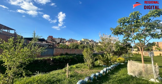 BH vai receber apoio t?cnico para implantar infraestrutura de resposta a eventos clim?ticos na regi?o de Venda Nova